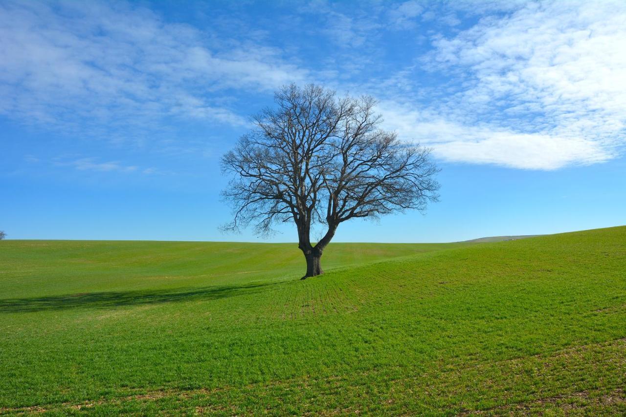 Vacanze Murgiane Altamura Bagian luar foto